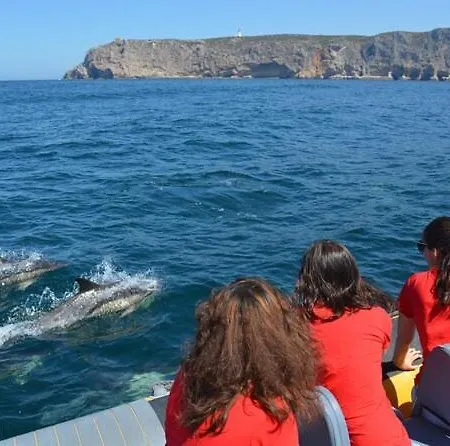 Апартаменты Life